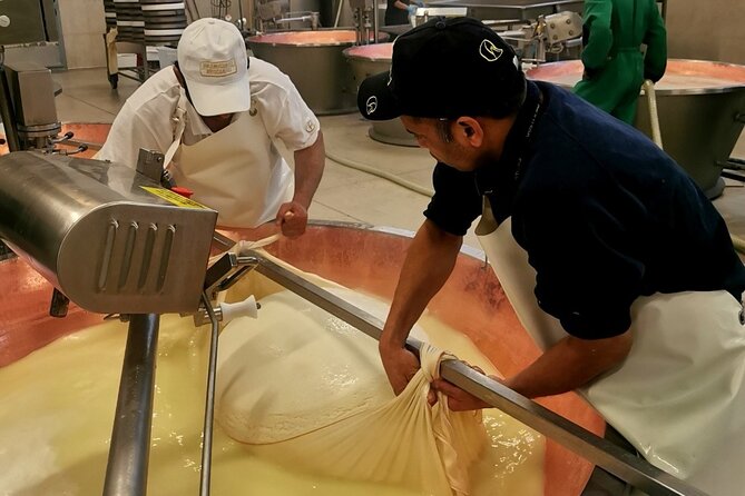 Parmigiano Wine and Balsamic Vinegar Experience from Bologna - Price and Time: What $300.67 Buys for an 8½-Hour Day