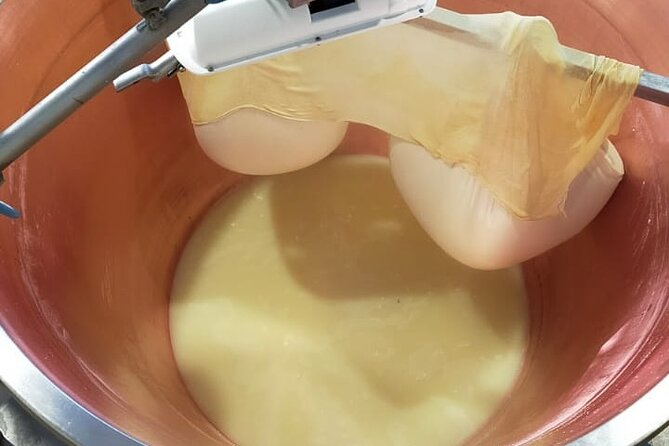 Private Balsamic vinegar & Parmigiano Reggiano factory visits - Balsamic tasting: tasting ages and matching them to real bites
