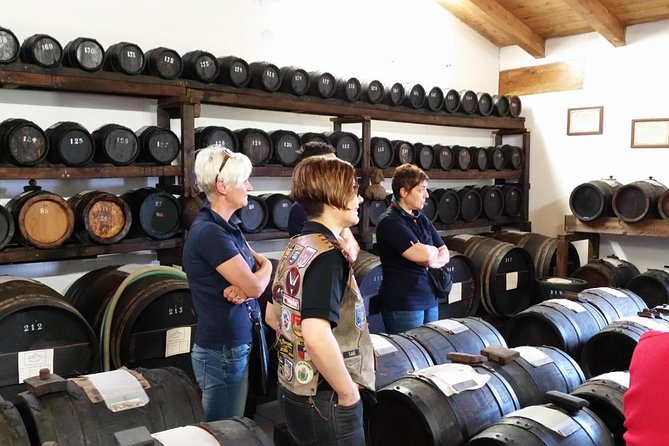 Private Day Tour & Lunch: Parmesan, Wine, and Vinegar Tasting - Key Highlights You’ll Actually Feel