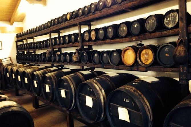 Private Day Tour & Lunch: Parmesan, Wine, and Vinegar Tasting - Gavioli Antica Cantina: An Ancient Winery With a Museum Feel