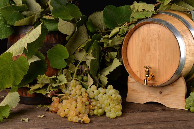 Private Day Tour & Lunch: Parmesan, Wine, and Vinegar Tasting - The Private Advantage: No Rush, More Q&A