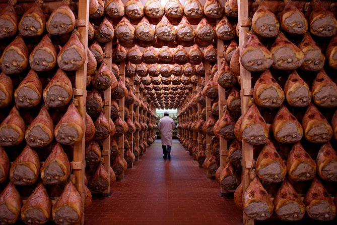 Private Emilia Romagna Food Tour Half Day - What you’re really paying for with a $301-per-person half-day