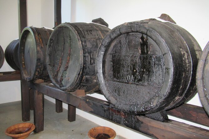 Private Emilian Food and Wine Tasting Tour in Modena - Key highlights worth your attention