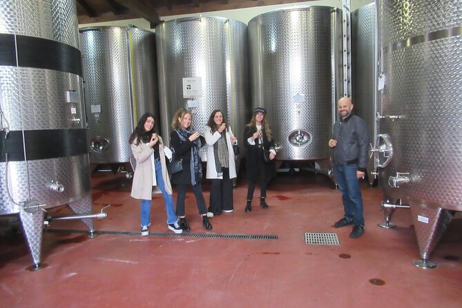 Private Emilian Food and Wine Tasting Tour in Modena - Stop 2: San Vito di Spilamberto and the ACETAIA balsamic experience