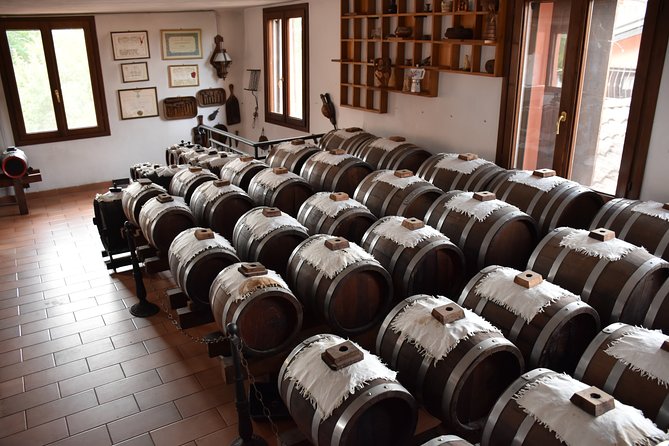 Private half day tour in Parma - Price and value: why $287 per person can make sense