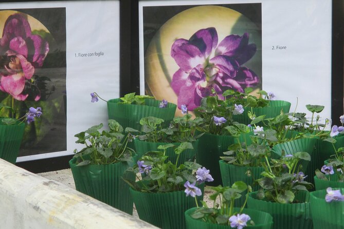 Private Half Day Tour to Parma the City of Perfume - What this Parma perfume tour is really about