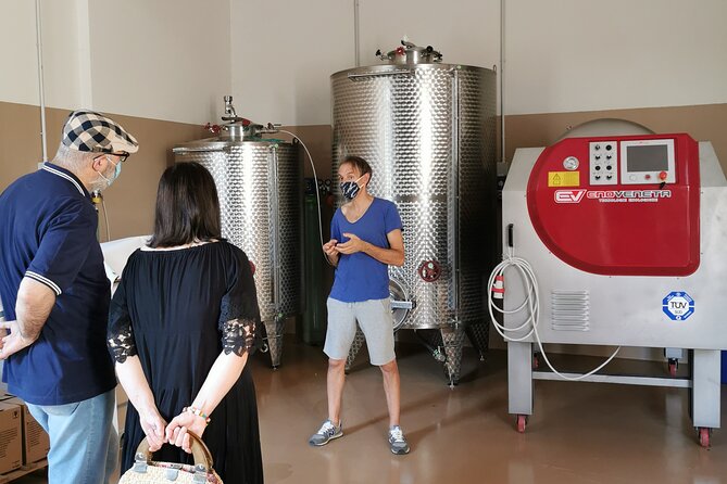 Private Visit to Acetaia with Tasting - Key highlights you’ll feel fast