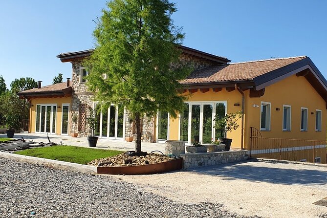 Private Visit to Acetaia with Tasting - Optional wine moment and the smart way to plan your next stop