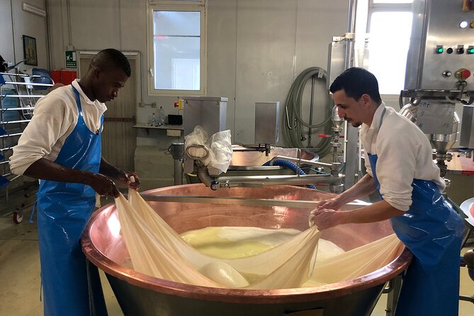 Small Group Reggio Half-Day Food & Wine Tour with Local Producers - The Vineyards Piece: How the Tour Keeps the Wine Thread
