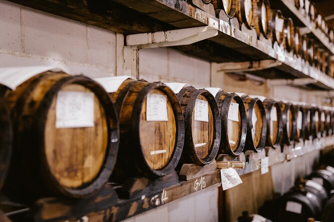 The art of Parmigiano Reggiano and real Balsamic vinegar - Key things that make this tour worth your time