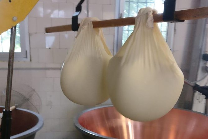 Tour Parmigiano Reggiano dairy and Parma ham - Inside Parmigiano Reggiano: milk vats, seasoning, and aging wheels