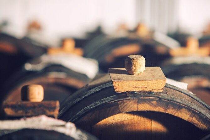Tour with a tasting of the authentic Traditional Balsamic vinegar - The 2-hour plan at Acetaia Malagoli Daniele, from espresso to tastings