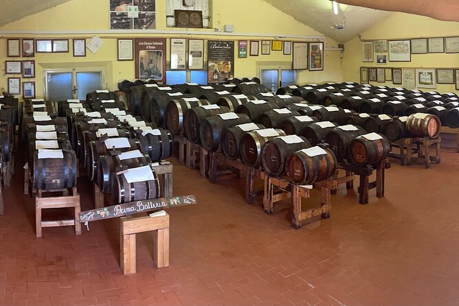 Visit and Tasting of Traditional Balsamic Vinegar of Modena - Key things to know before you go