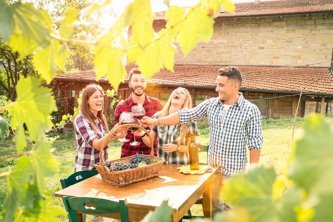 Wine experience Bologna hills - Why Bologna’s hills make the wine taste better