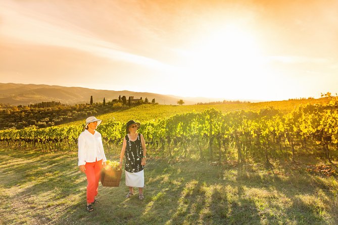 Wine experience Bologna hills - Hotel pickup and the ride: smoother than self-guided hopping